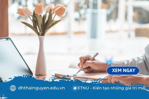 Quản trị kinh doanh có những ngành nào? Hướng đi nào phù hợp với bạn?