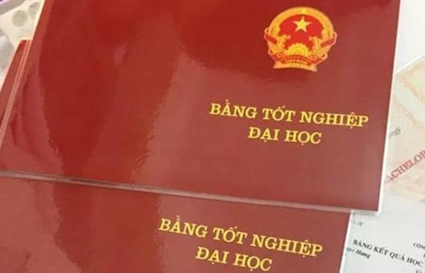 he dai hoc van bang hai la gi