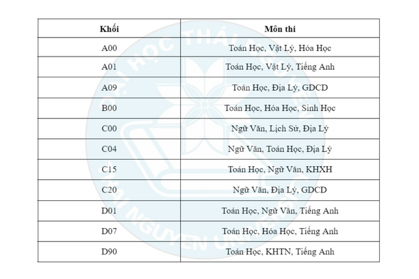 nganh thuong mai dien tu thi khoi nao