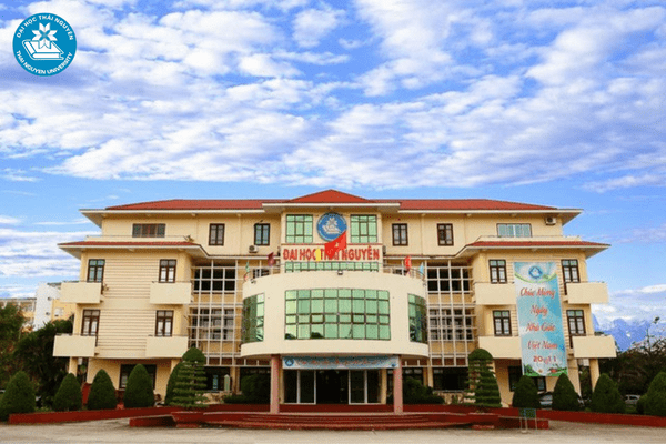 con gai co nen hoc nganh thuong mai dien tu