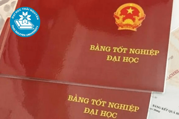 dai hoc thai nguyen dao tao tu xa