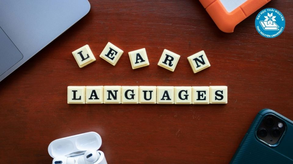 Ngành ngôn ngữ Trung phát triển như thế nào ở Việt Nam?