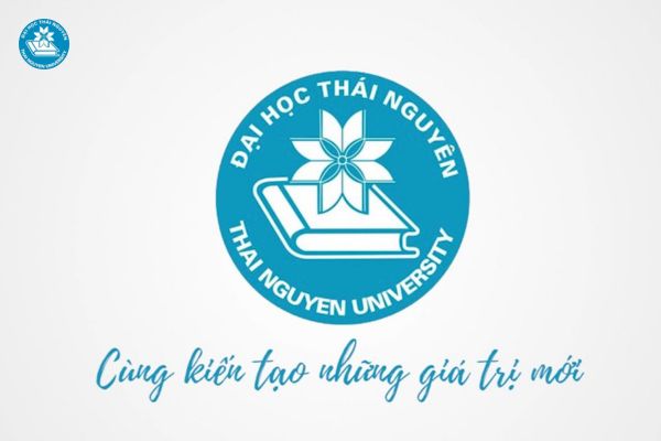 nganh luat kinh te lay bao nhieu diem