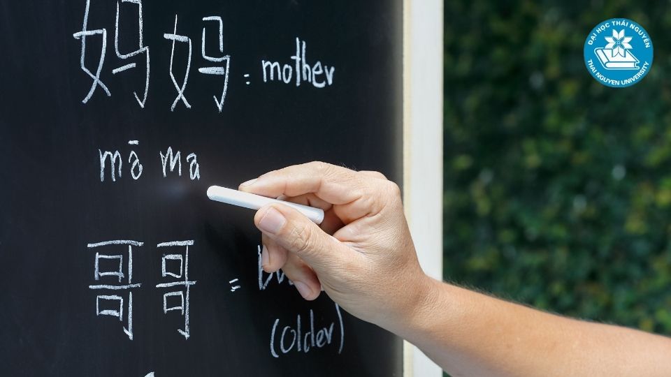 Vị trí việc làm tiềm năng của ngành Ngôn ngữ Trung