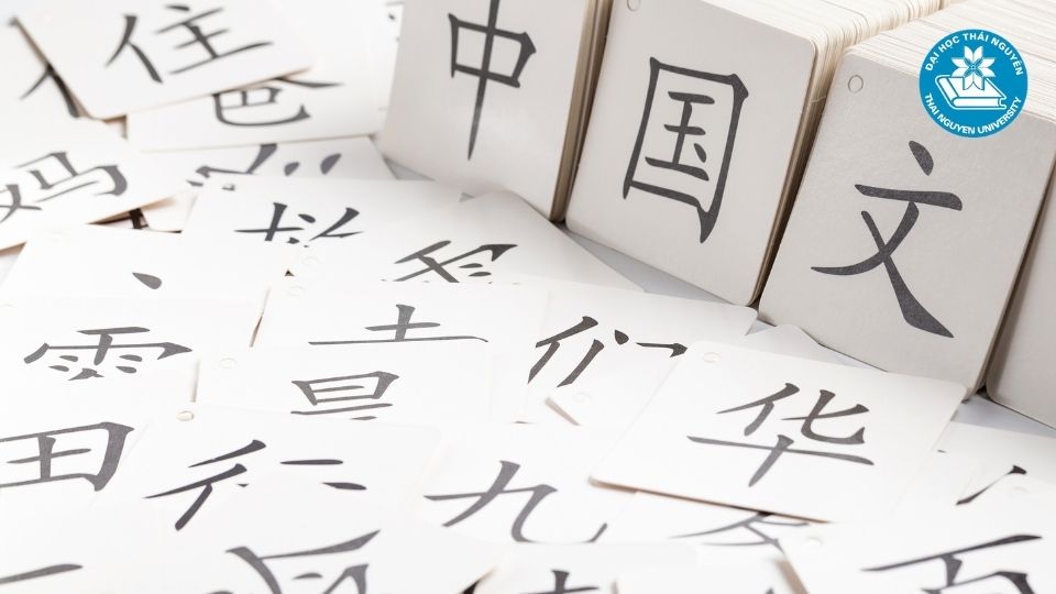 Học ngành Ngôn ngữ Trung Quốc ra làm gì?