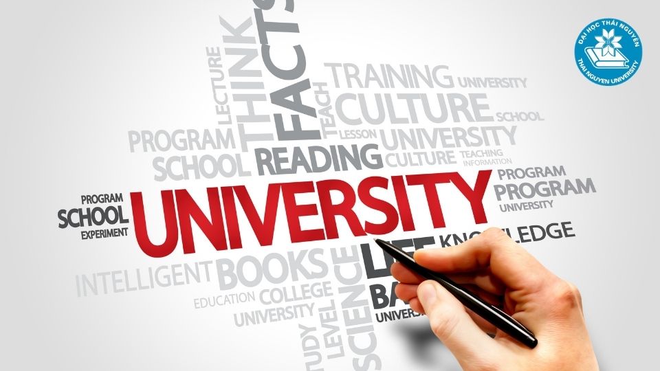 Những điều cần biết về liên thông đại học trái ngành