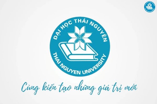 Sự thật về ngành Ngôn ngữ Anh Đại học Thái Nguyên