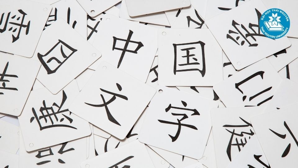Chương trình đào tạo từ xa ngành ngôn ngữ Trung