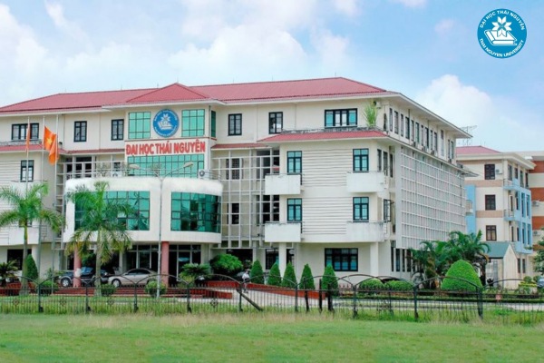 Học Luật kinh tế tại TNU