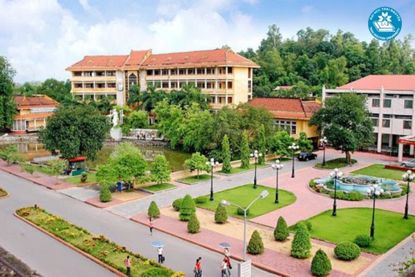 Học văn bằng thứ 2 ngôn ngữ Trung tại TNU