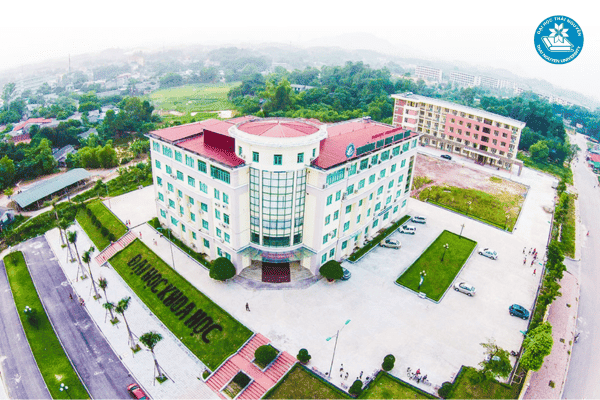 Lời khuyên cho các sinh viên ngành ngôn ngữ Anh