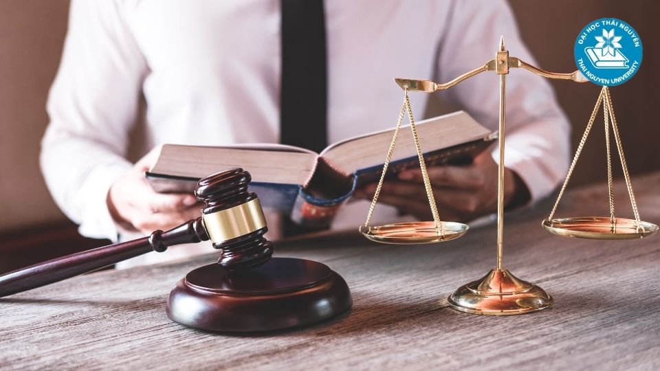 Ngành luật kinh tế hệ đào tạo từ xa - Đại học Thái Nguyên
