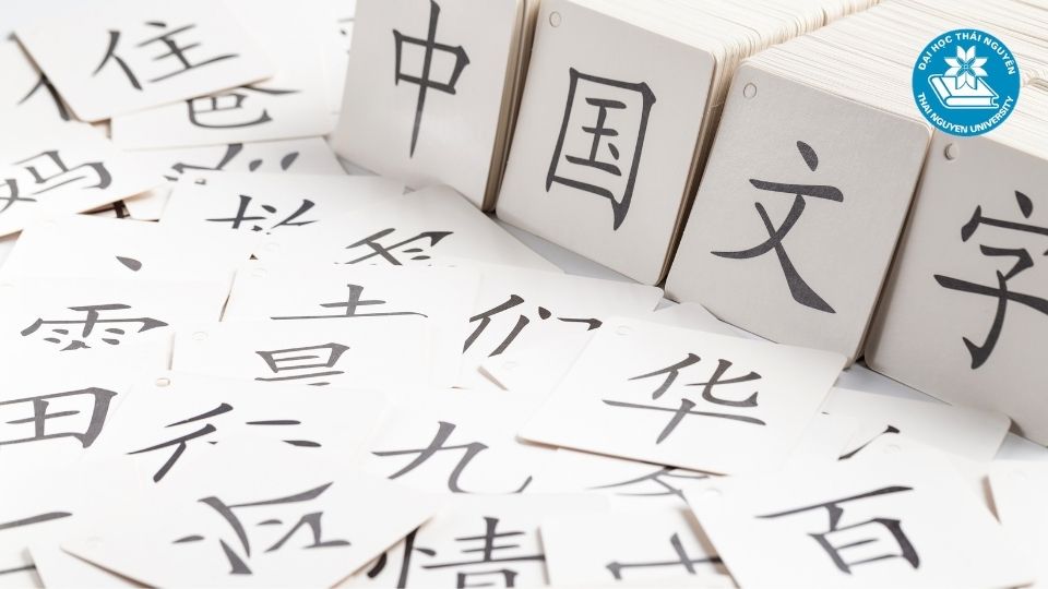 Ngành ngôn ngữ Trung là gì ?