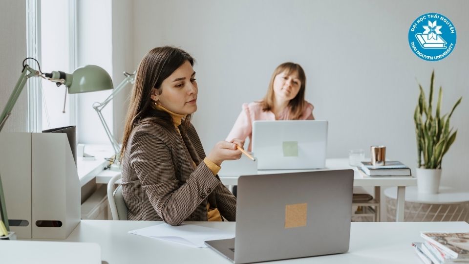 Học văn bằng 2 quản trị kinh doanh ra trường làm gì?