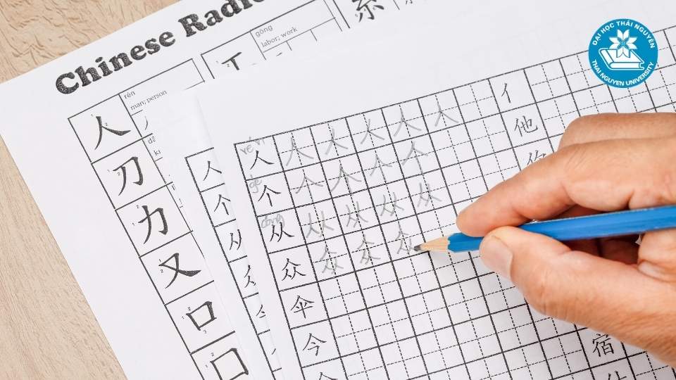 Học Ngôn ngữ Trung đào tạo từ xa ra làm gì?