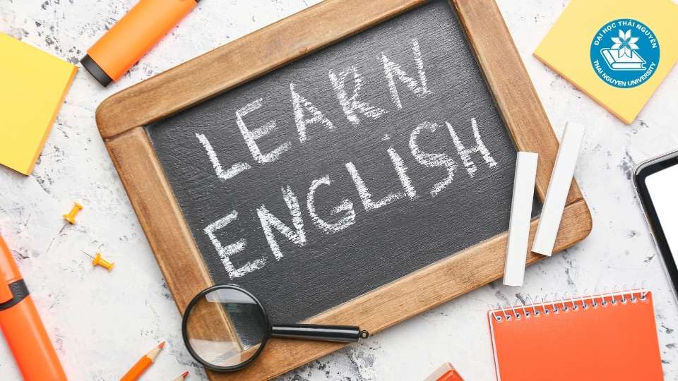 Đào tạo theo định hướng nghề nghiệp, chú trọng thực tiễn